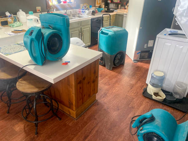 Best Water damage mitigation services  in Amador Pines, CA