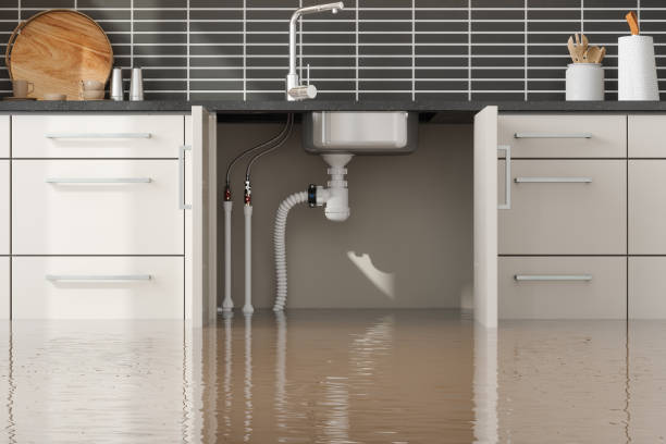 Best Emergency water damage restoration  in Amador Pines, CA